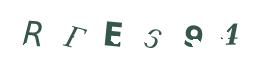 CAPTCHA code