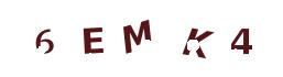 CAPTCHA code