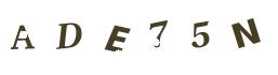 CAPTCHA code